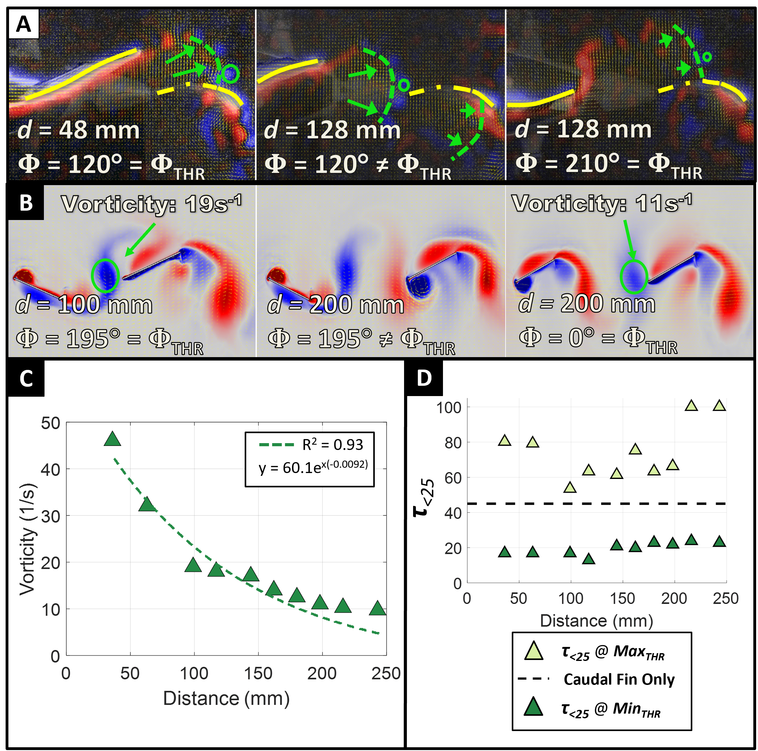 Flows and vorticity