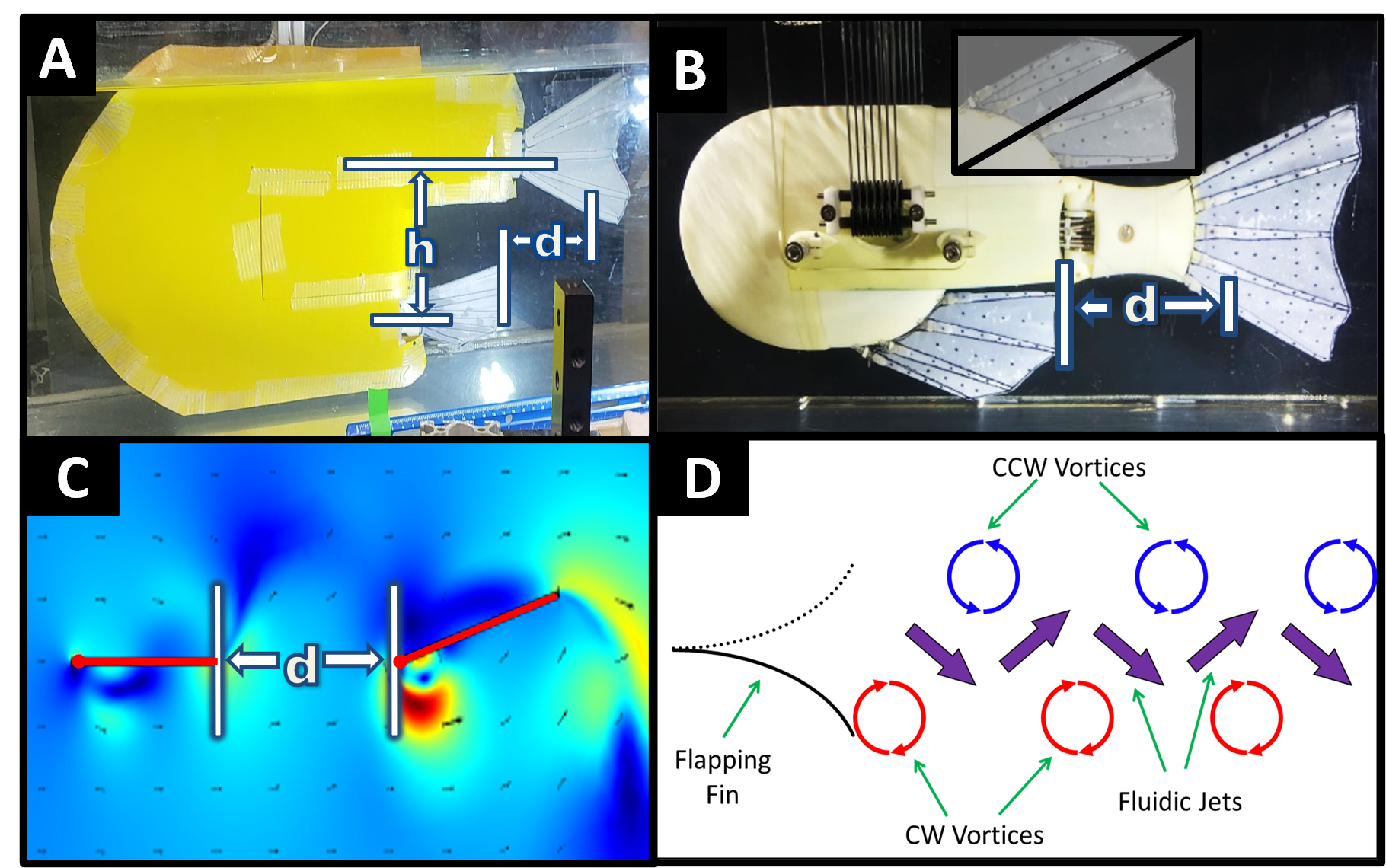 Experimental variables